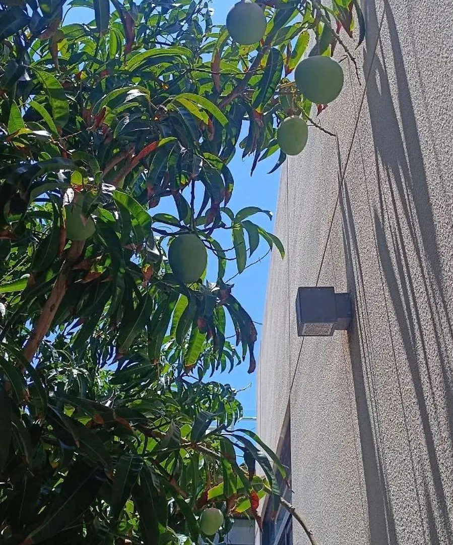 נה טראנג Cam Ranh Villa וייטנאם
