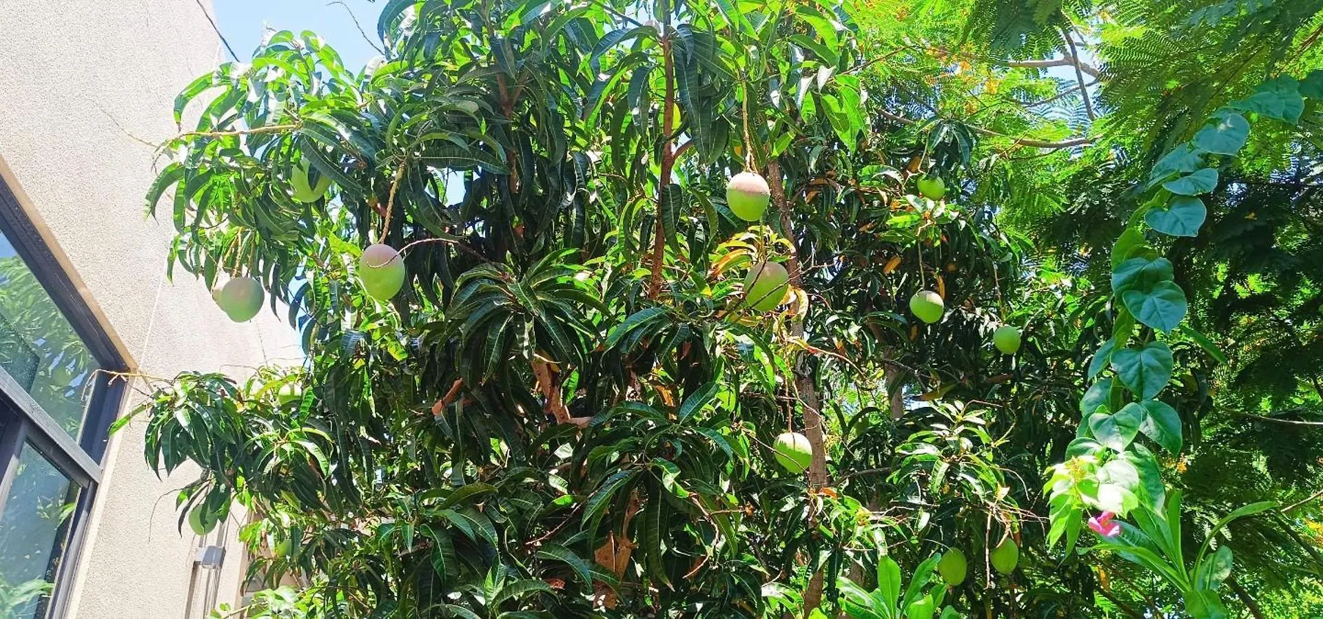 נה טראנג Cam Ranh Villa נה טראנג