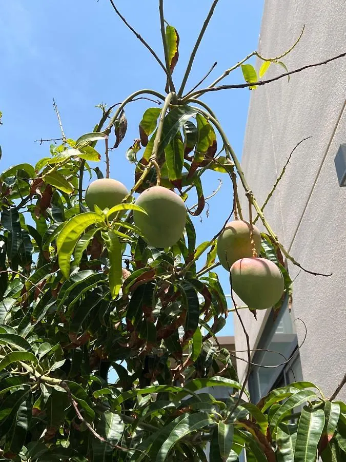 Cam Ranh Villa Nha Trang Vietnam